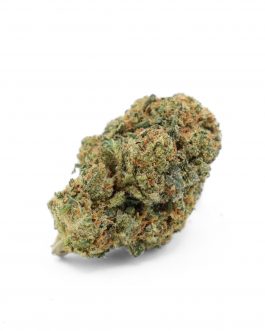 Gorilla Glue Hydro – 10% CSA ⭐⭐⭐⭐⭐ (Puissante & Premium)