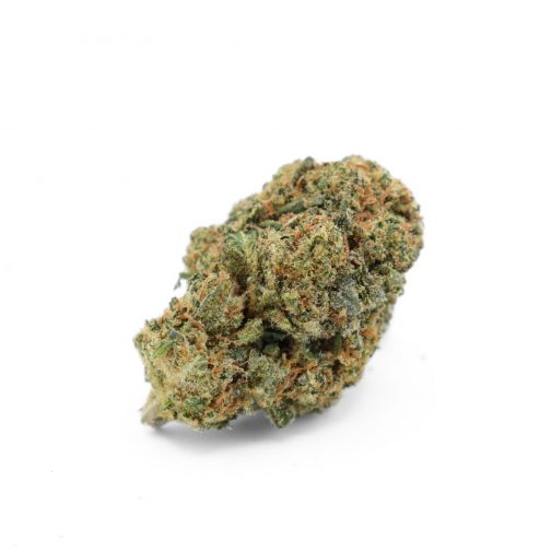 Gorilla Glue Hydro – 10% CSA ⭐⭐⭐⭐⭐ (Puissante & Premium)
