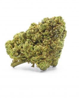 Tropical Kush Indoor – 10% 10-OH-HHC ⭐⭐⭐⭐ (Puissante & Fruité)
