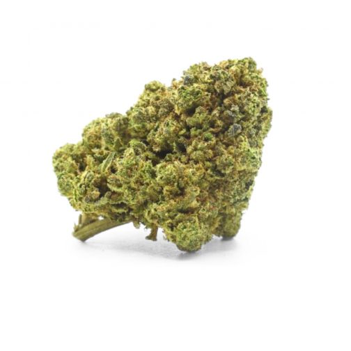 Tropical Kush Indoor – 10% 10-OH-HHC ⭐⭐⭐⭐ (Puissante & Fruité)