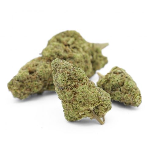 Plutonium OG Hydro – 10% 10-OH-HHC ⭐⭐⭐⭐ (Puissante & Premium)